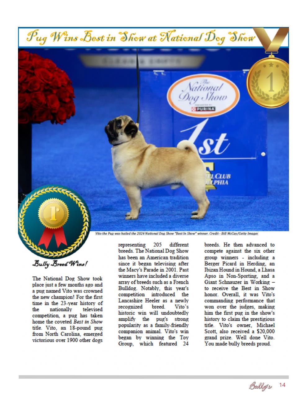 Bully’s - The Bulldog Magazine Preview Pages