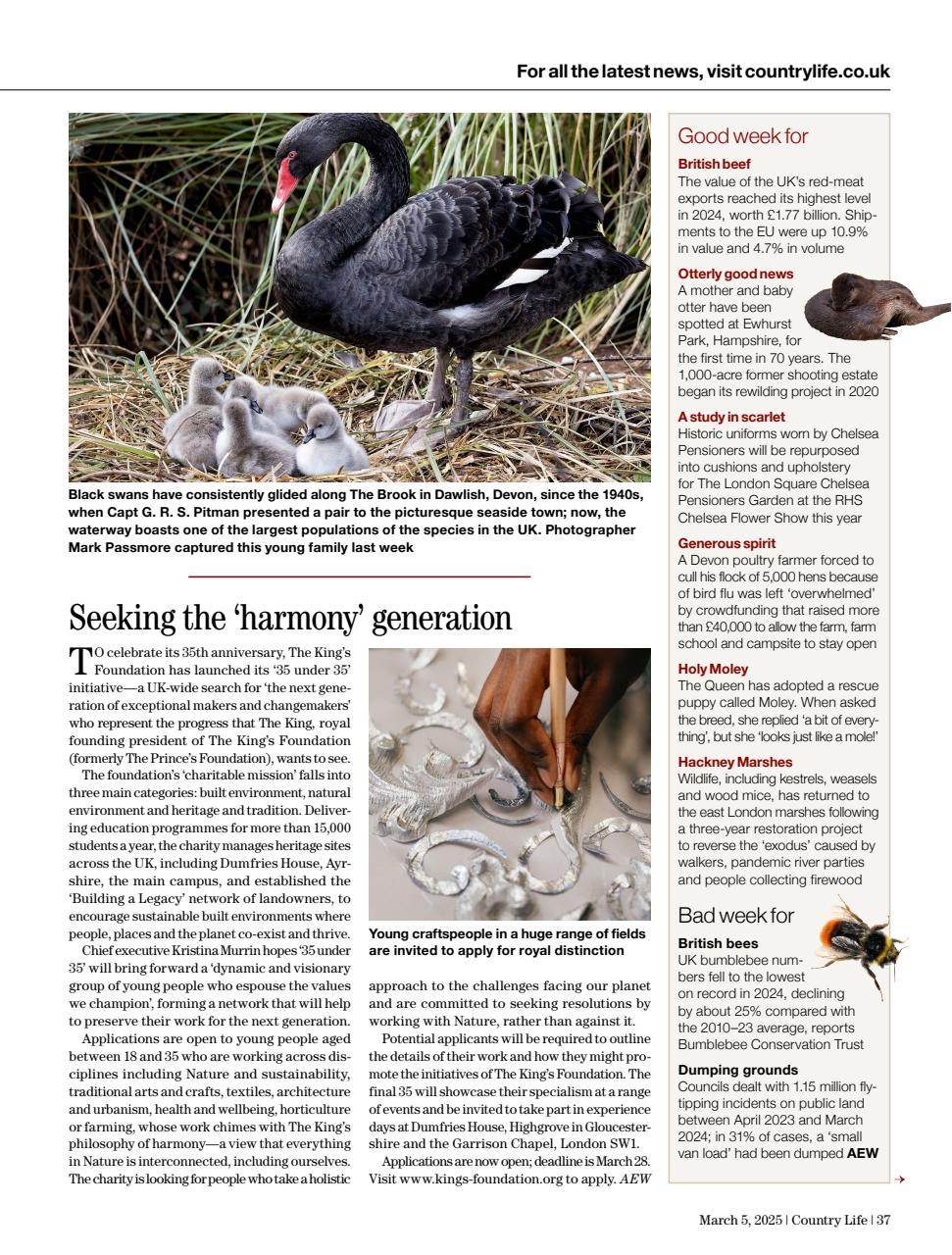 Country Life Preview Pages