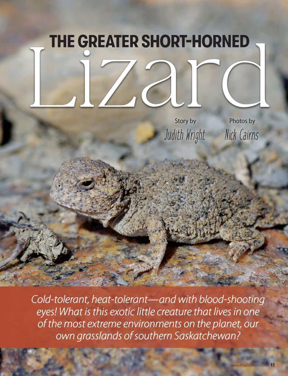 Prairies North Magazine Preview Pages