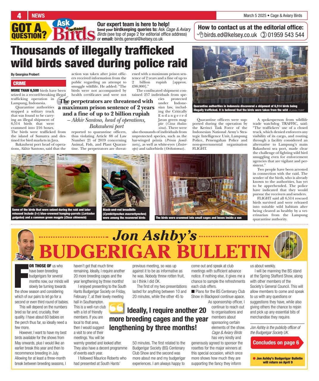 Cage & Aviary Birds Preview Pages