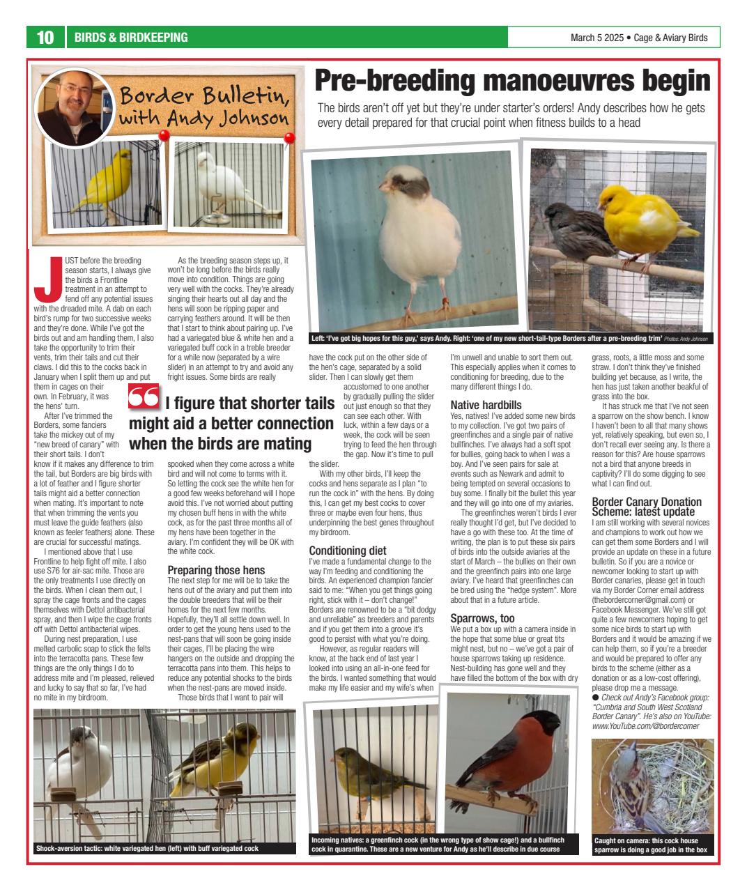 Cage & Aviary Birds Preview Pages