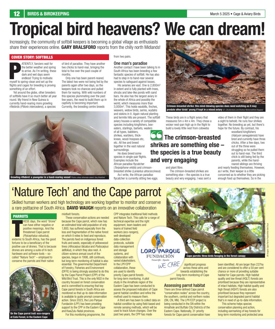 Cage & Aviary Birds Preview Pages