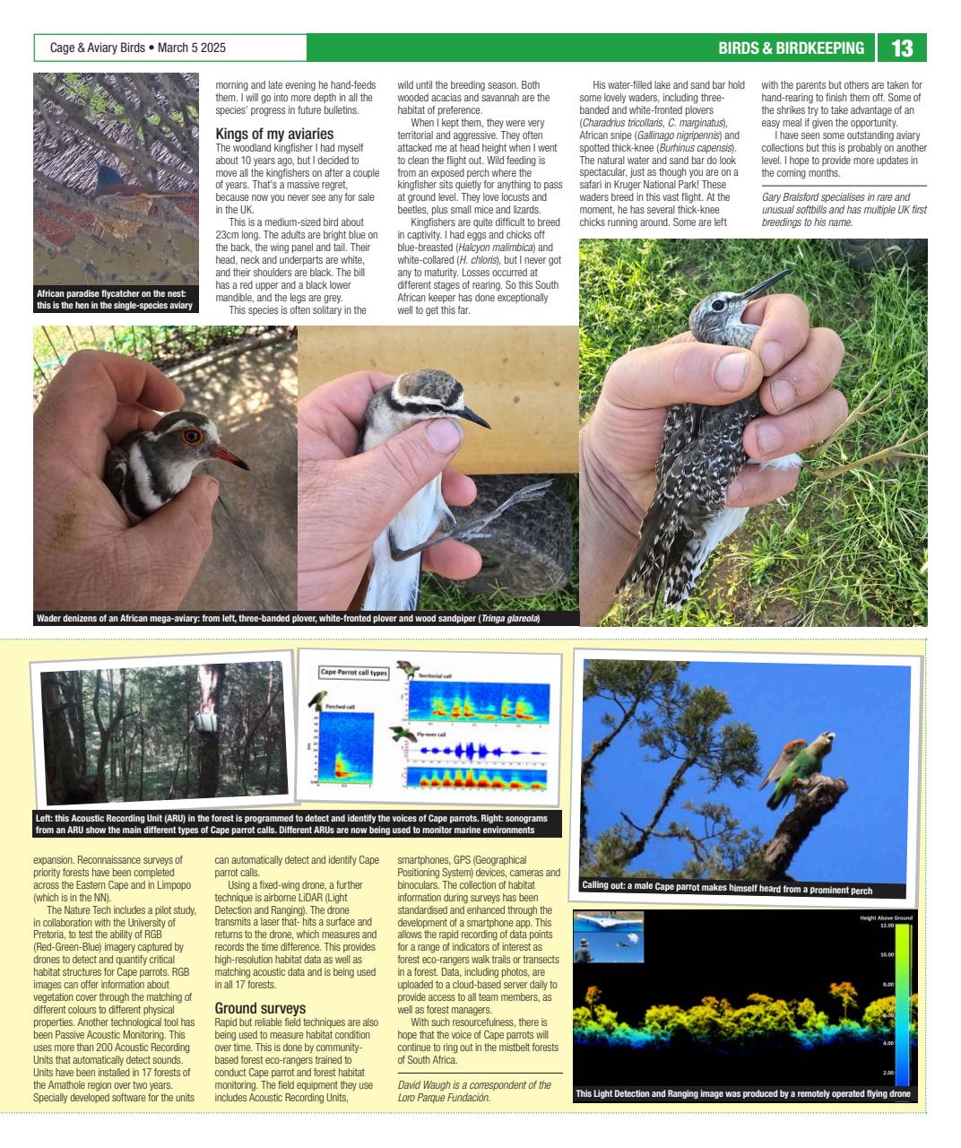 Cage & Aviary Birds Preview Pages