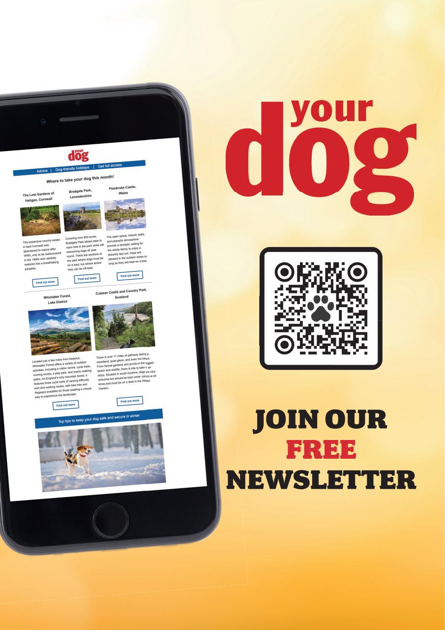 Your Dog Preview Pages