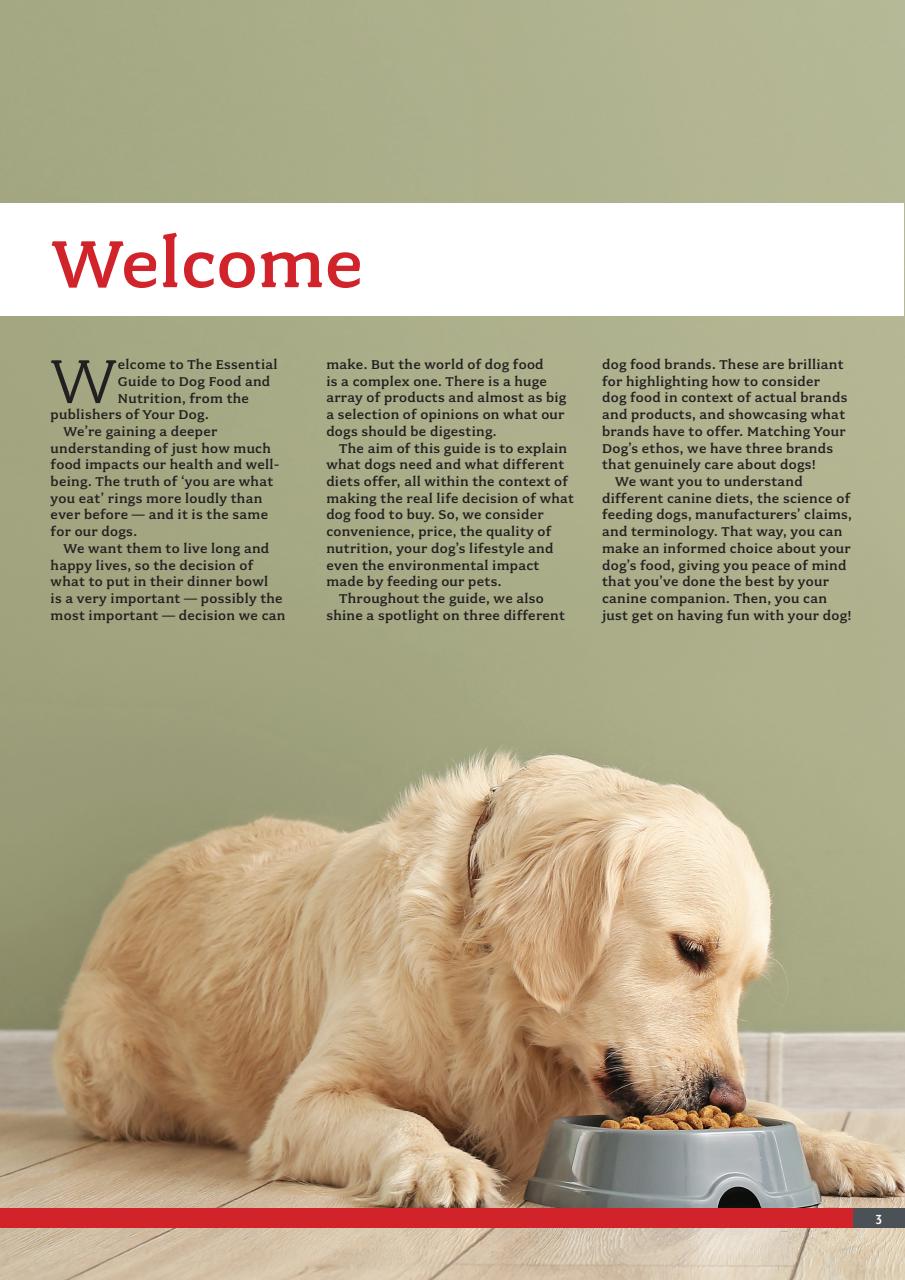Your Dog Preview Pages