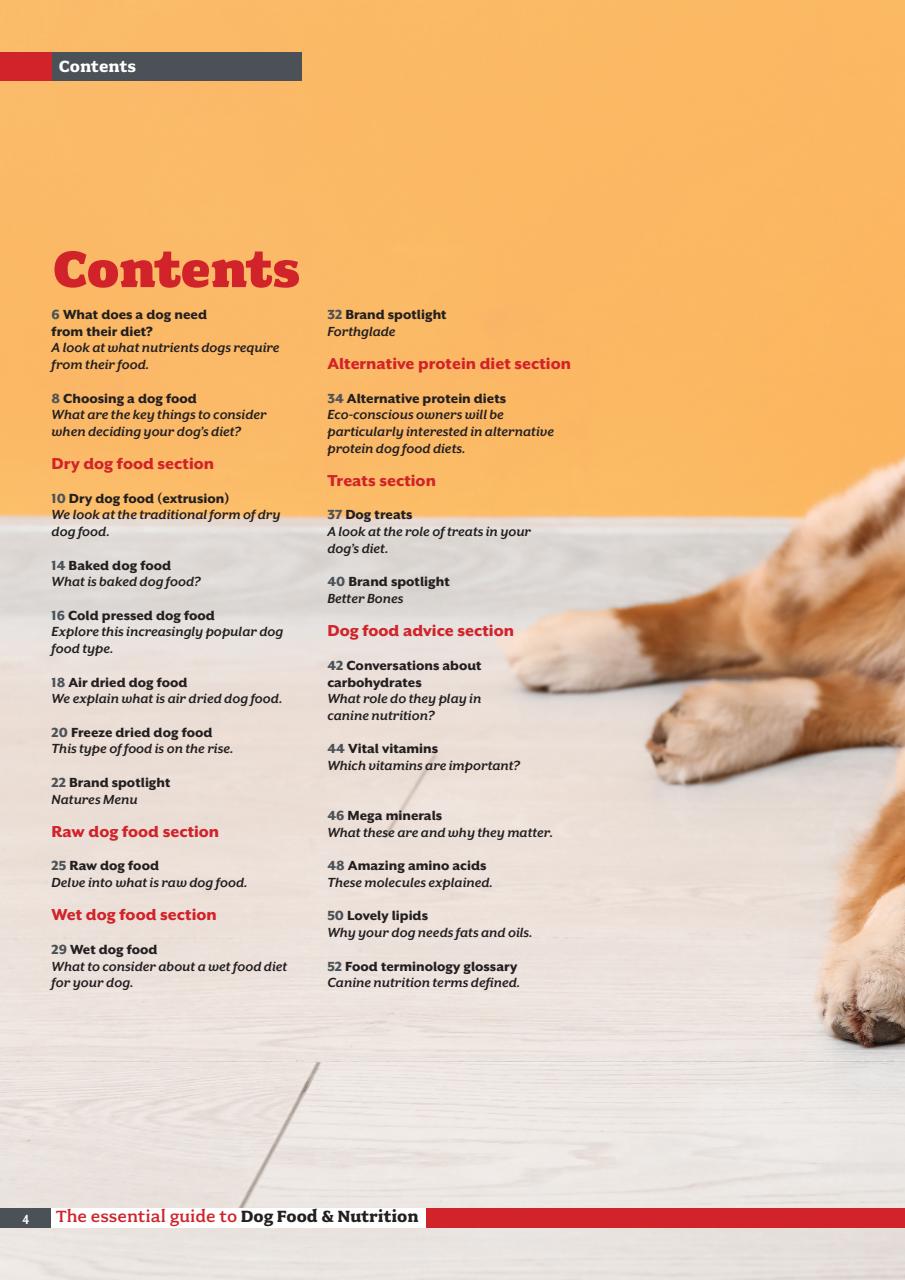 Your Dog Preview Pages