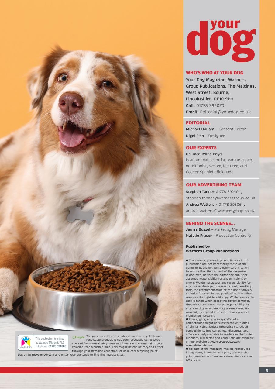 Your Dog Preview Pages