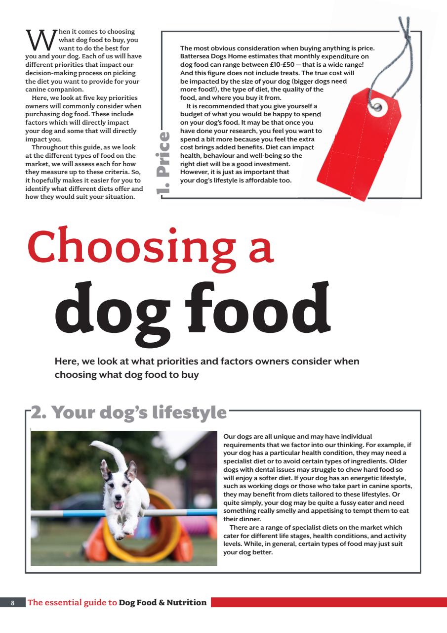 Your Dog Preview Pages