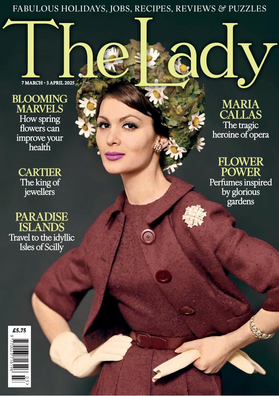 The Lady Preview Pages