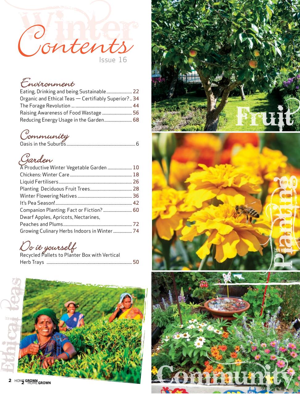 HomeGrown Preview Pages