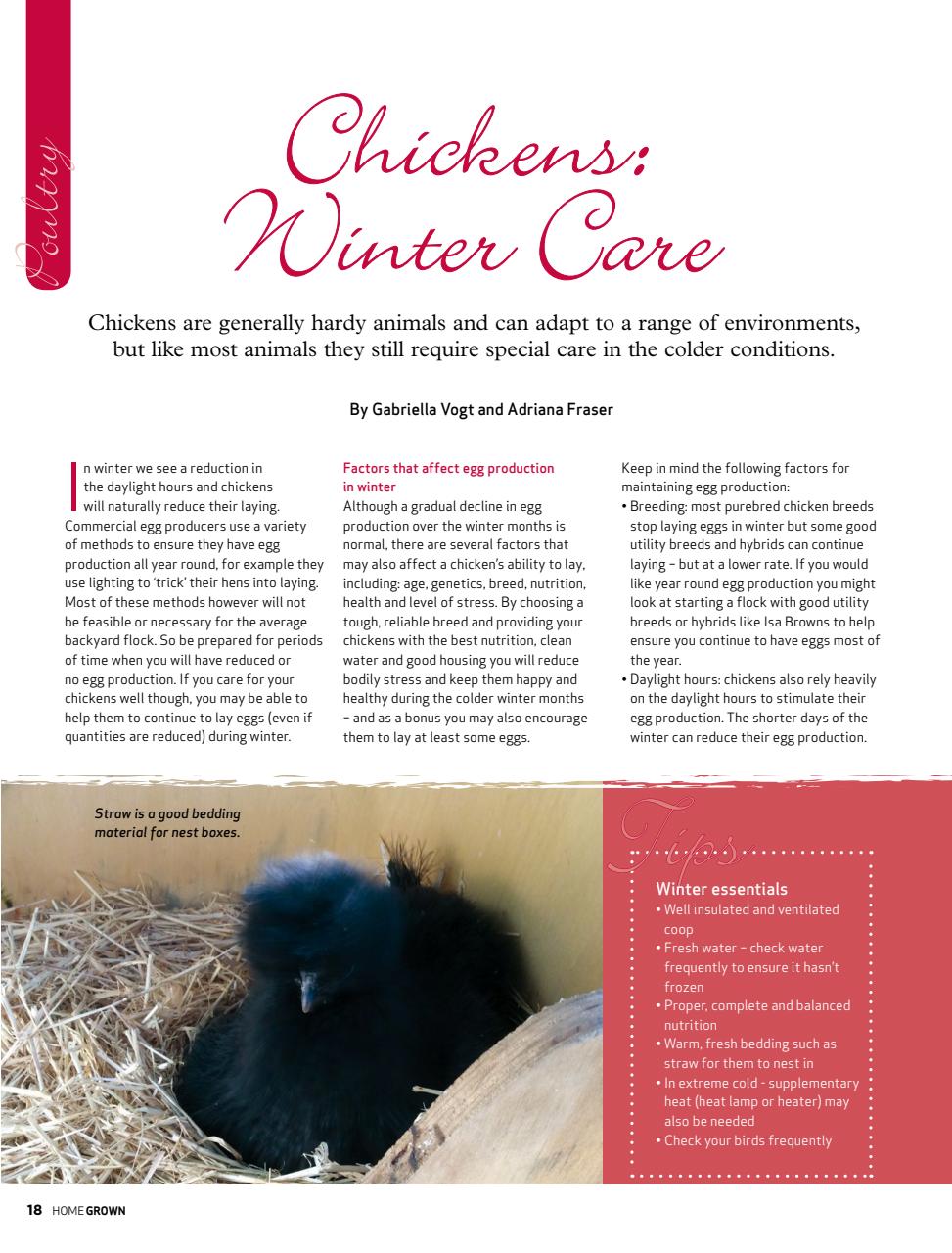 HomeGrown Preview Pages