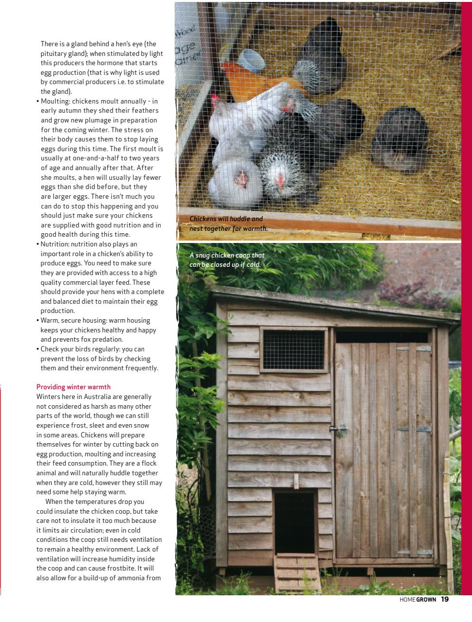 HomeGrown Preview Pages