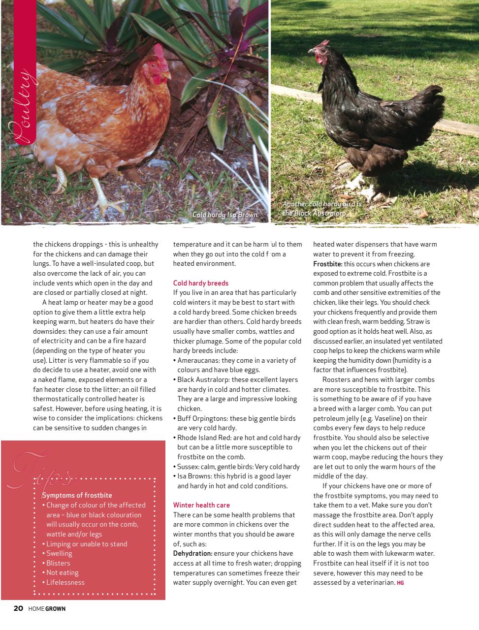 HomeGrown Preview Pages