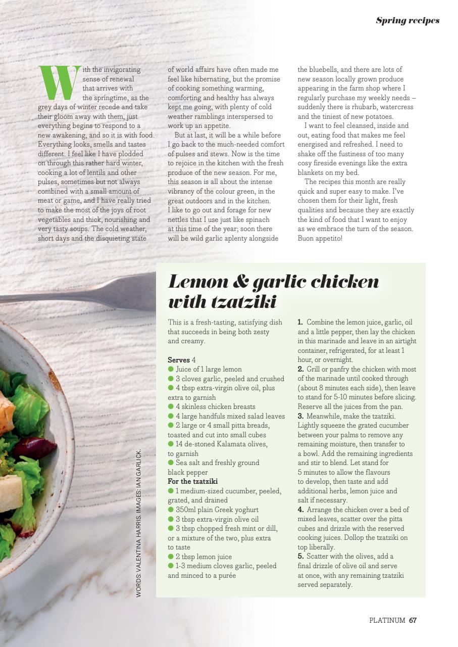 Platinum Preview Pages