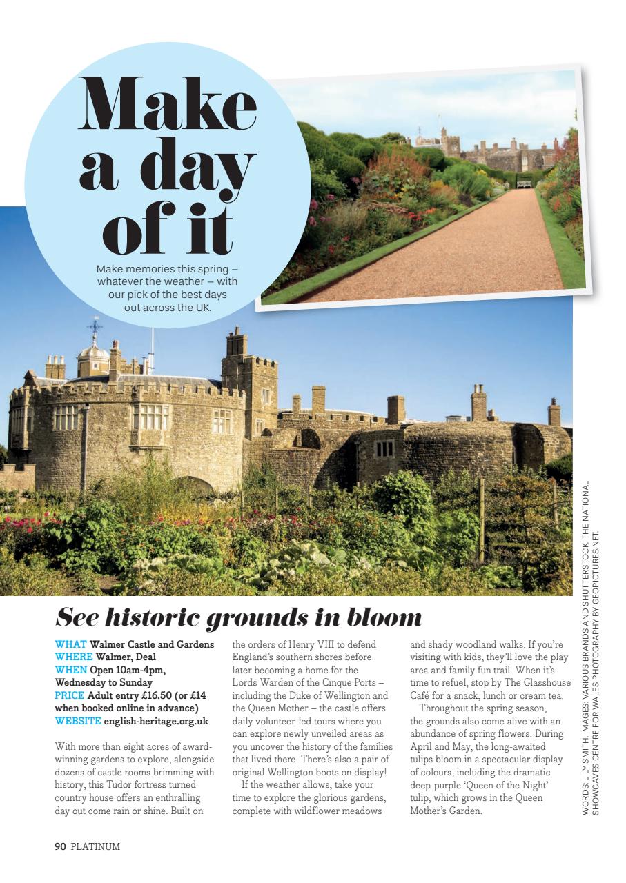 Platinum Preview Pages