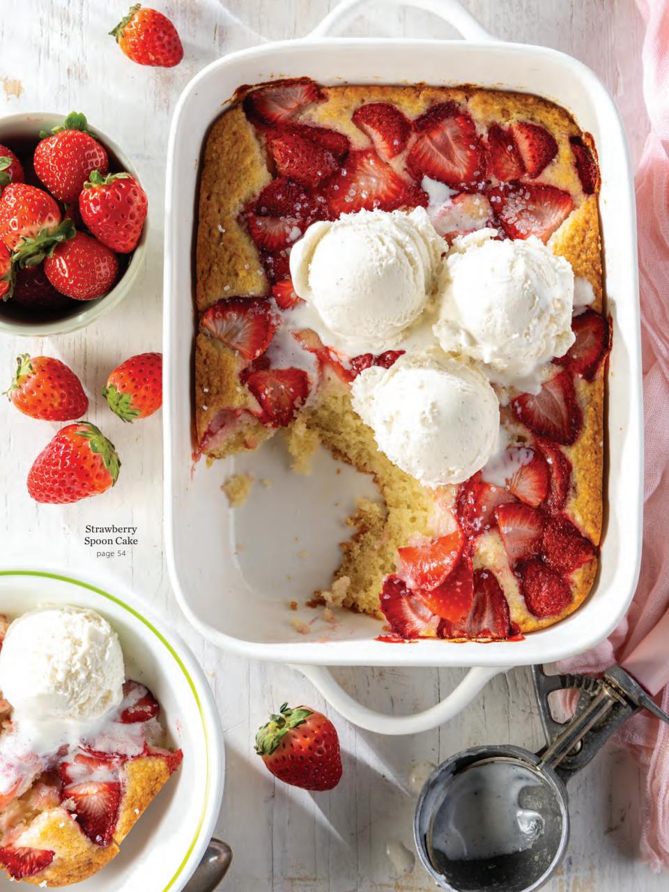 Taste of the South Preview Pages