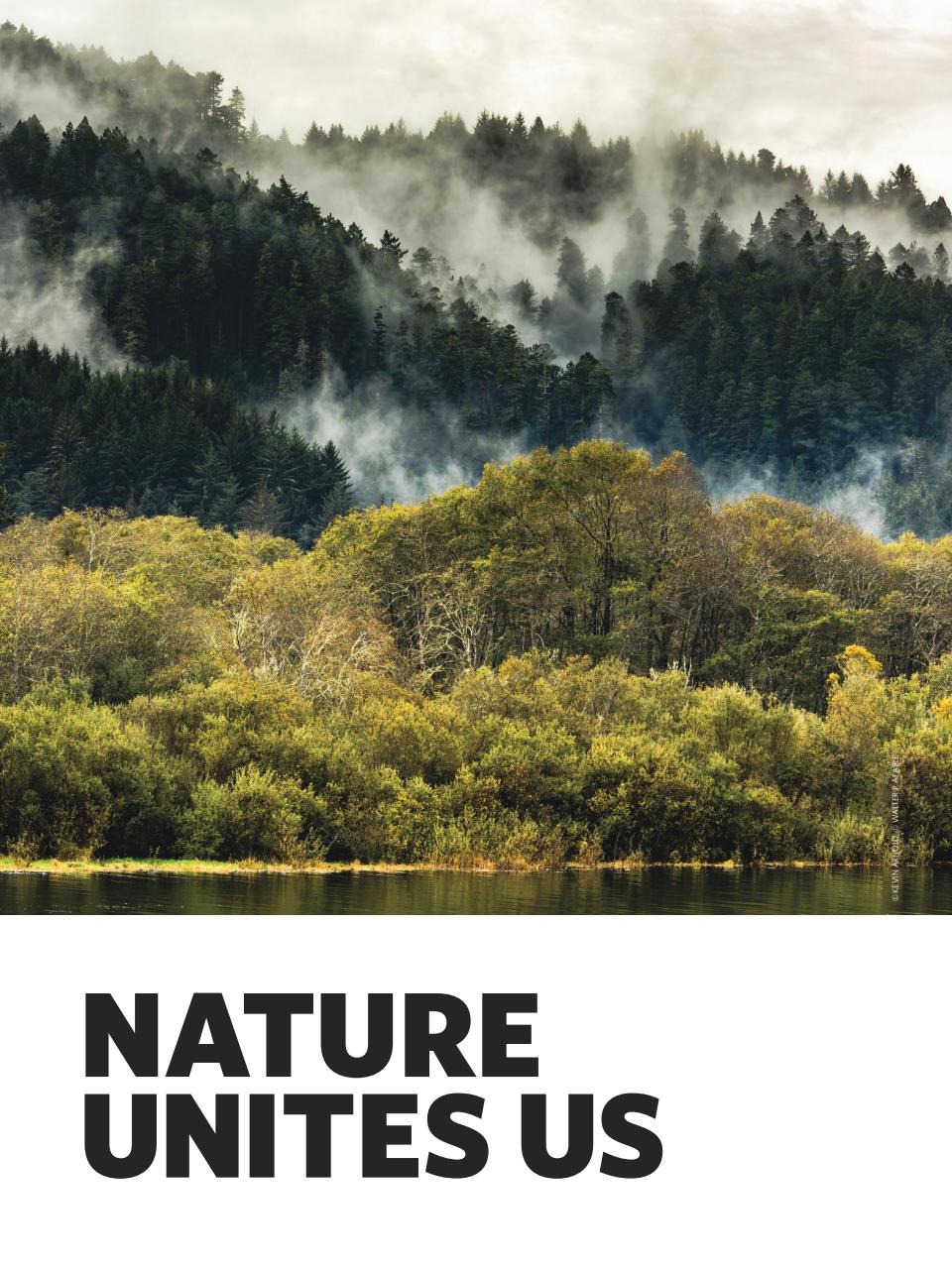 TIME Magazine Asia Preview Pages