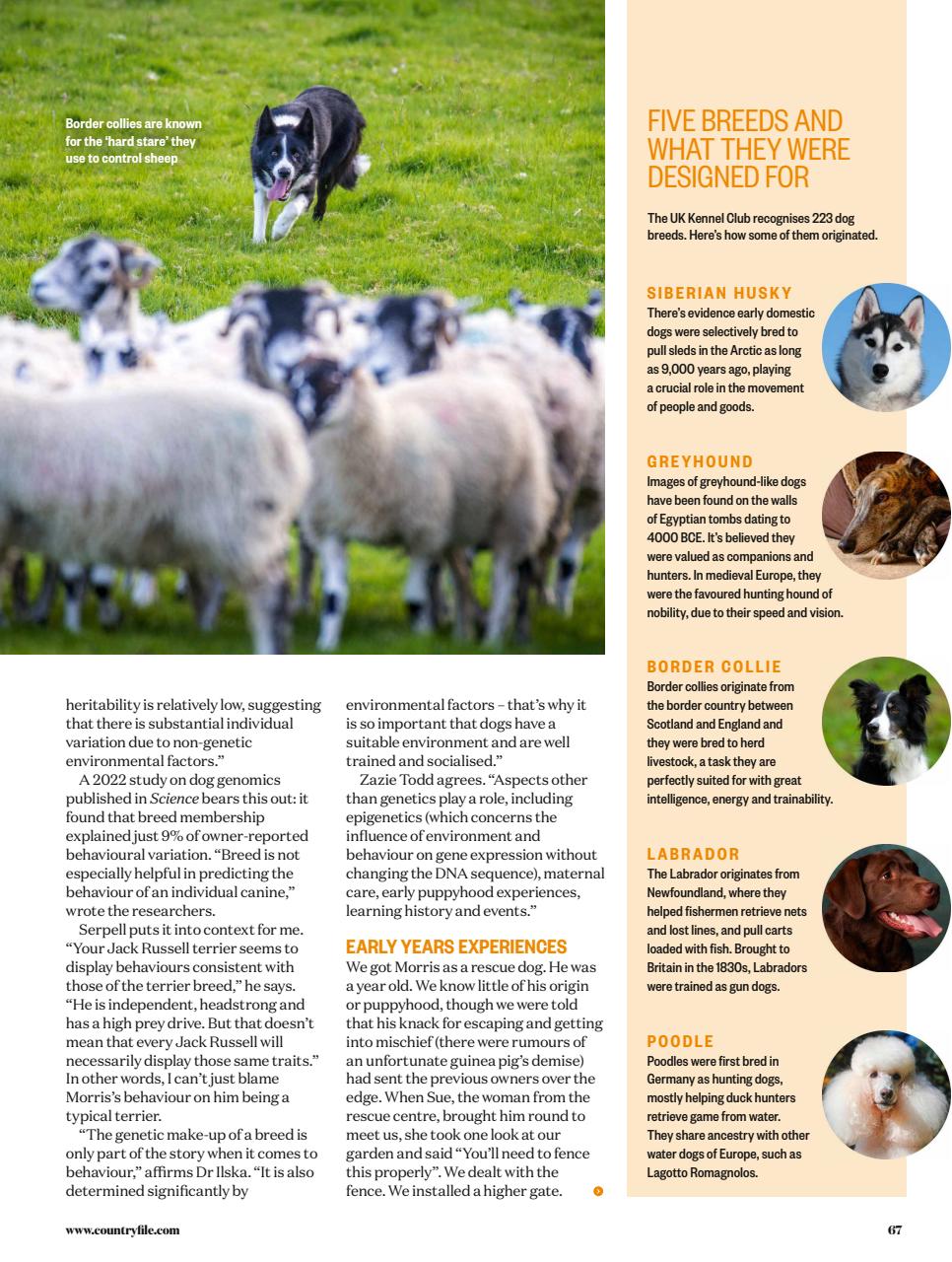 BBC Countryfile Magazine Preview Pages