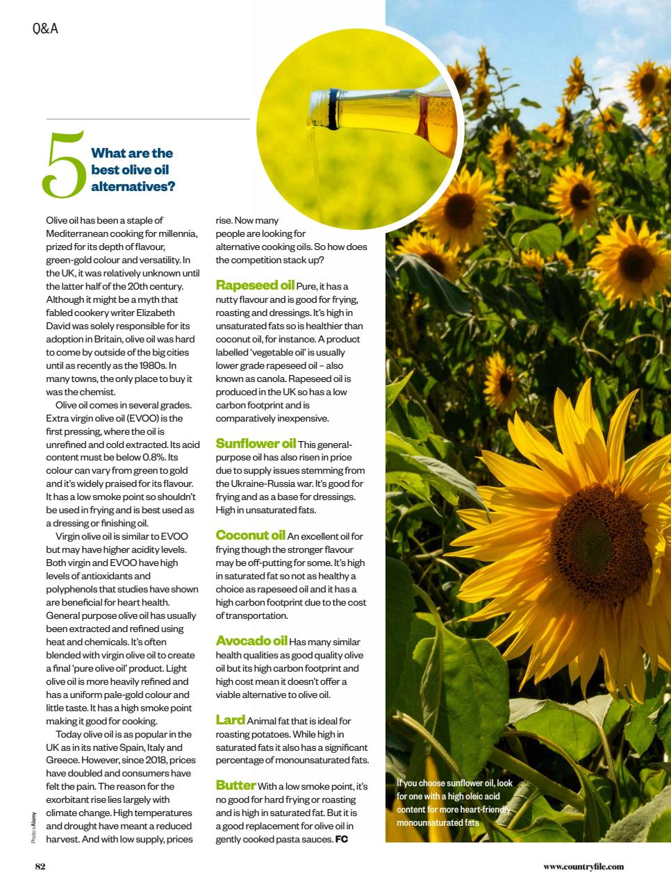 BBC Countryfile Magazine Preview Pages