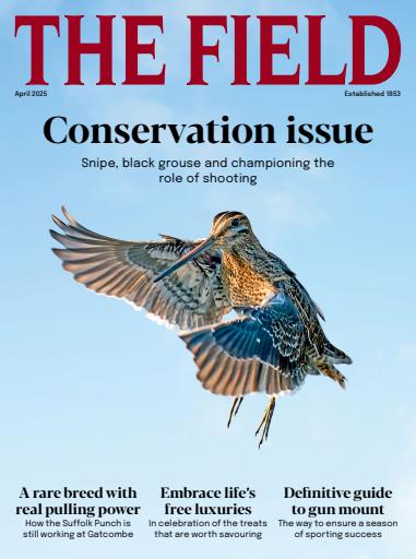The Field issue 