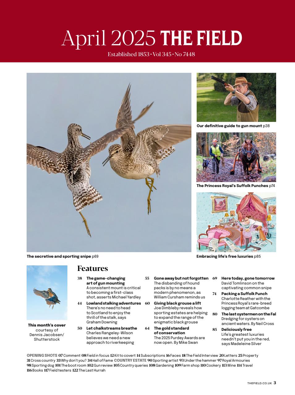 The Field Preview Pages