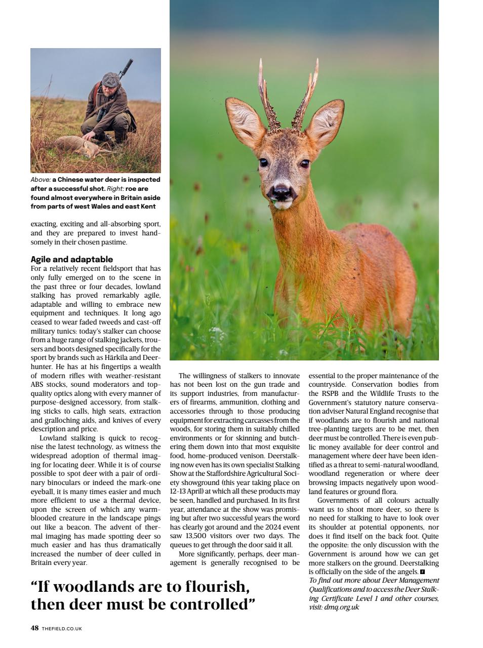 The Field Preview Pages