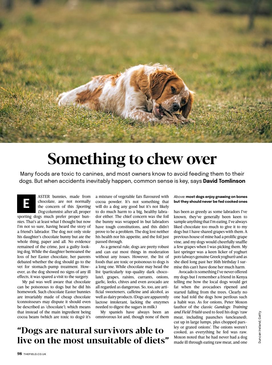 The Field Preview Pages