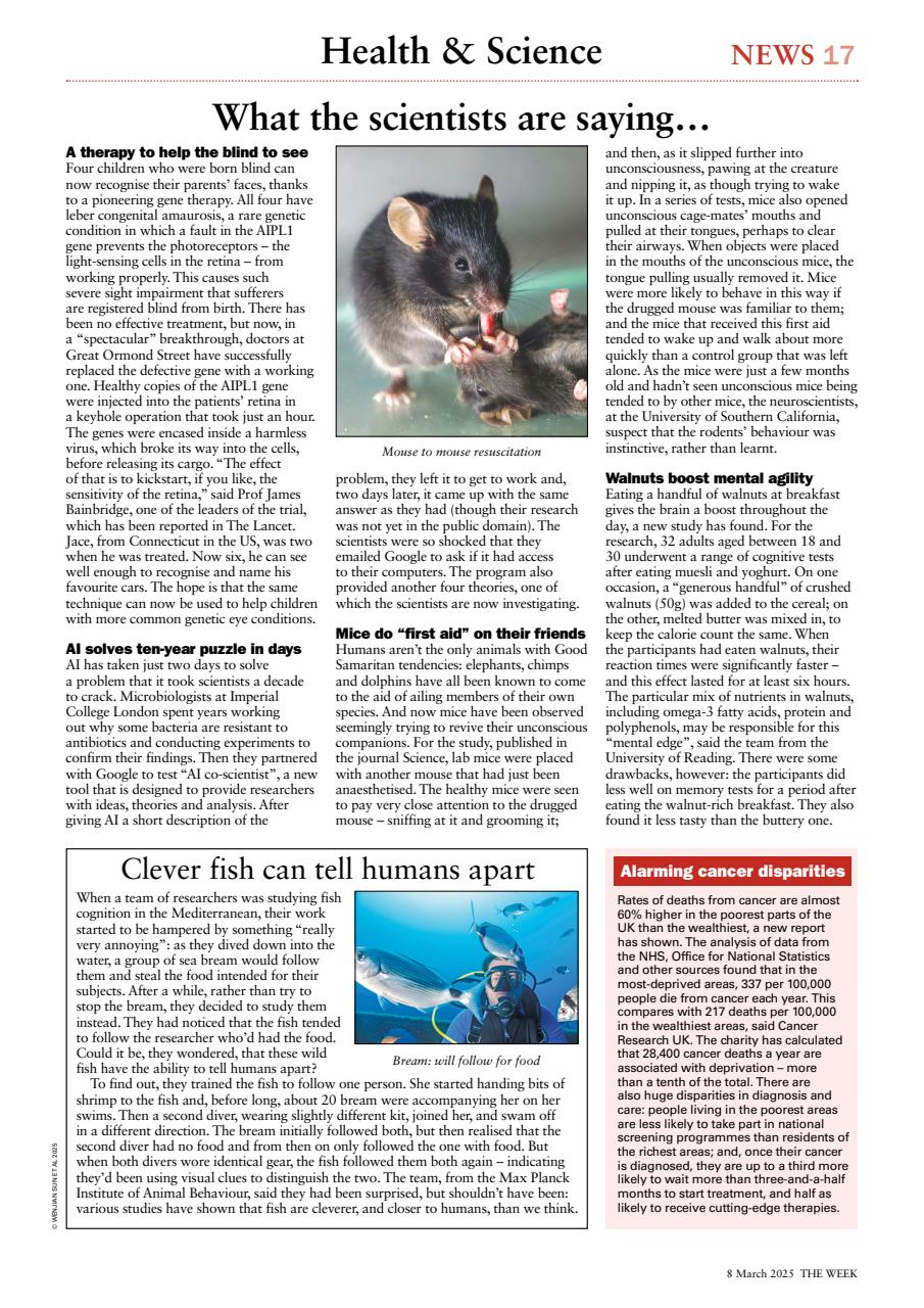 The Week Preview Pages