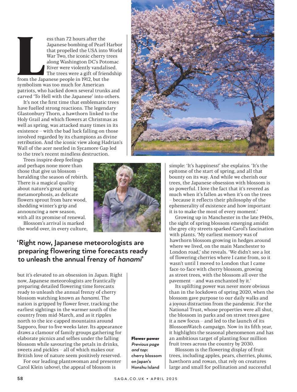 Saga Magazine Preview Pages