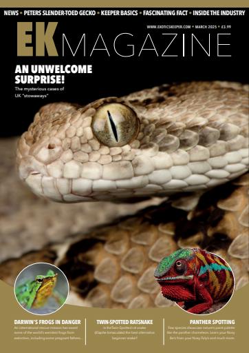 Exotics Keeper issue 