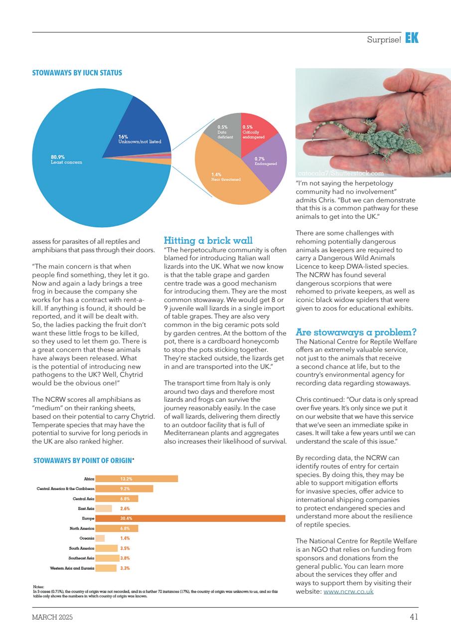 Exotics Keeper Preview Pages