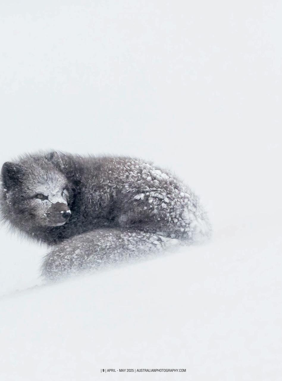 Australian Photography Preview Pages