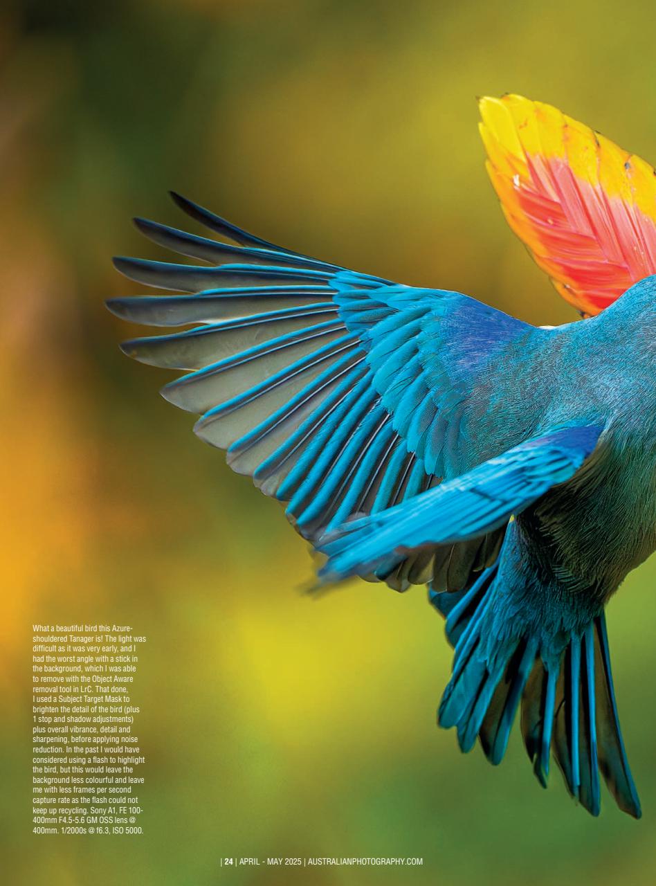 Australian Photography Preview Pages