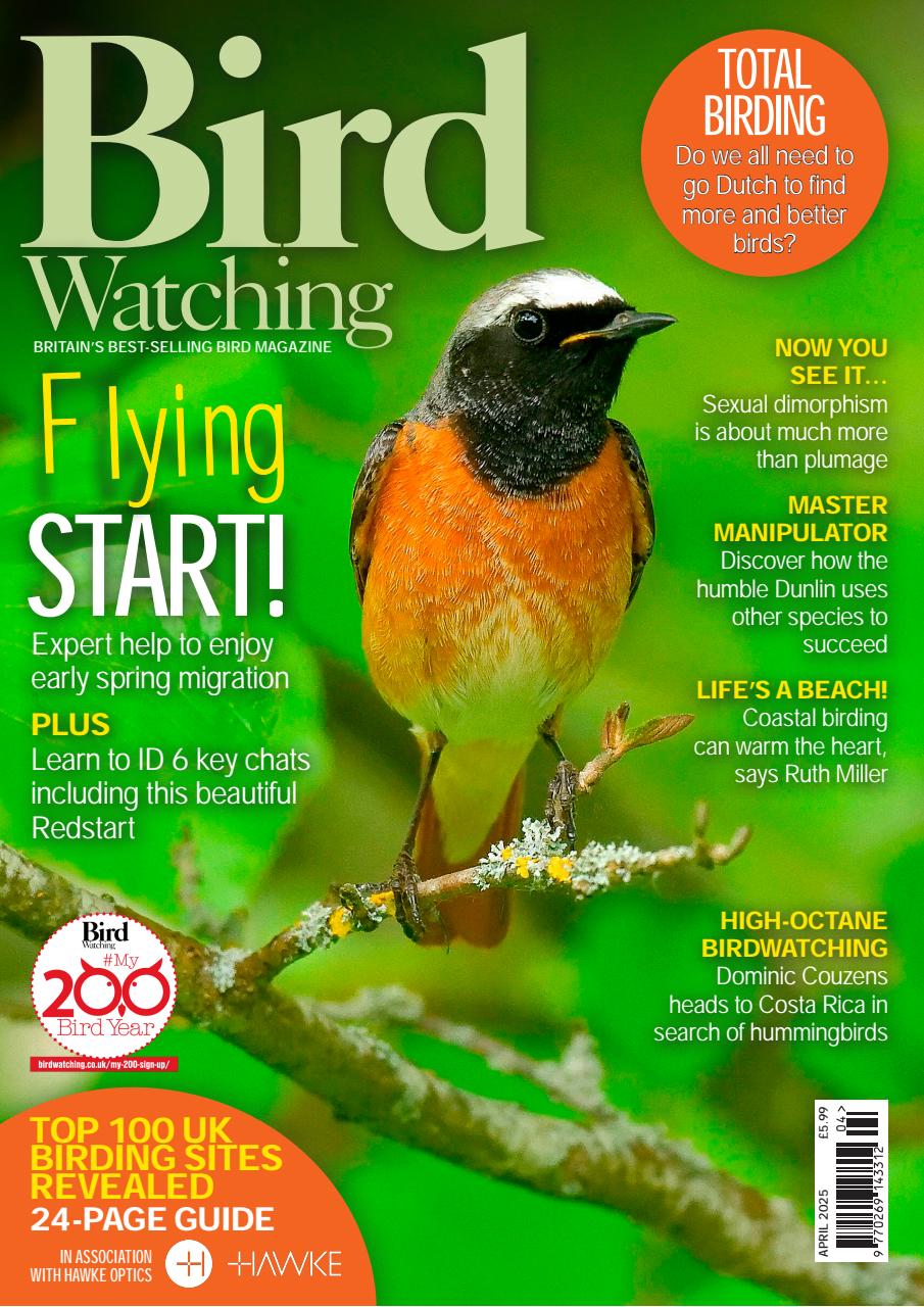 Bird Watching Preview Pages