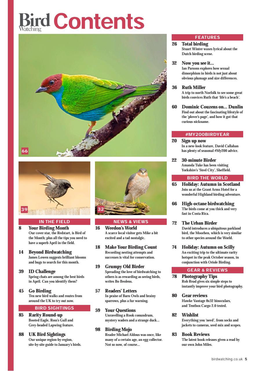 Bird Watching Preview Pages