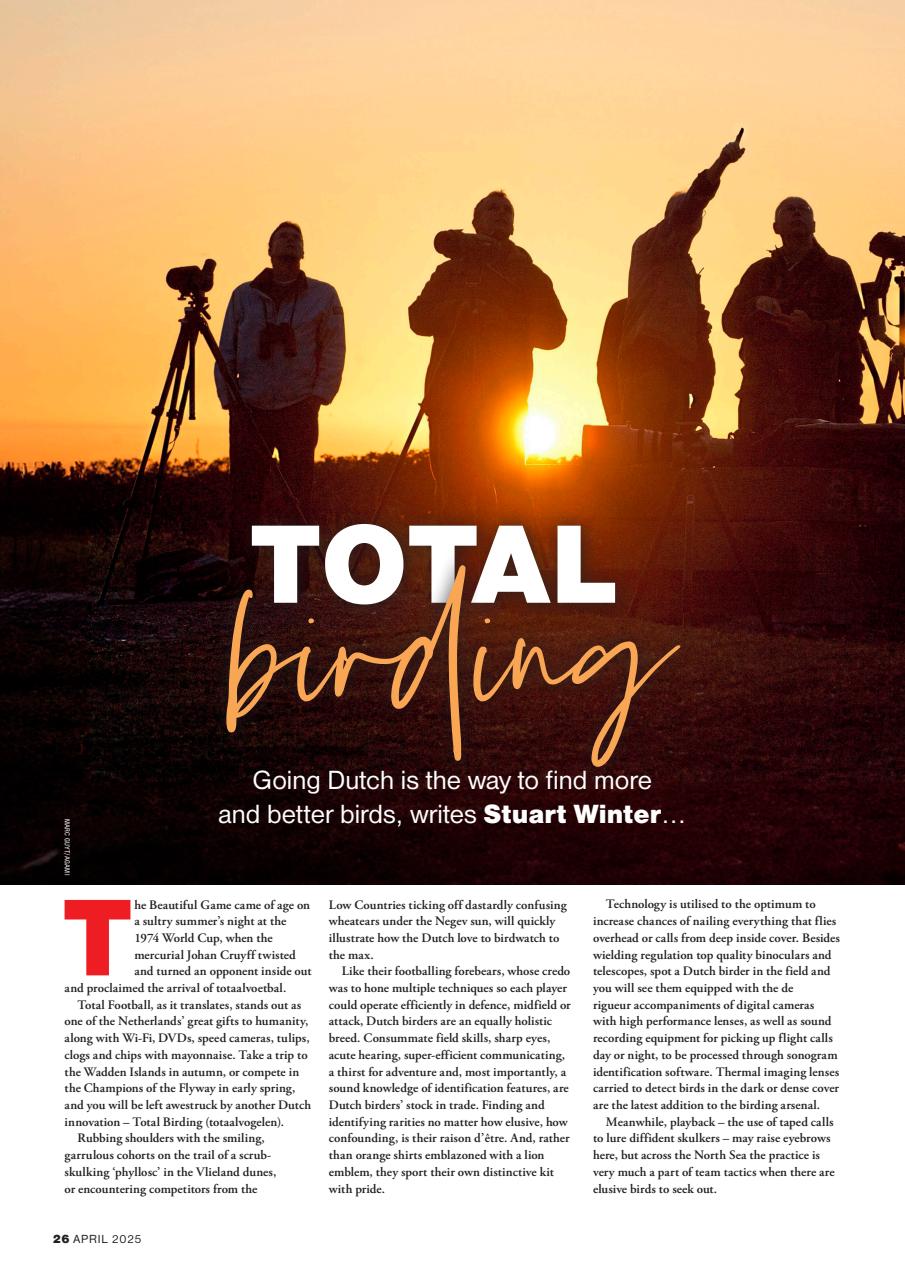 Bird Watching Preview Pages