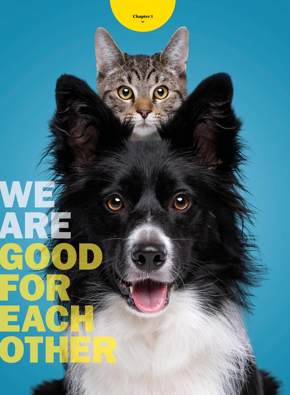 TIME Magazine Asia Preview Pages