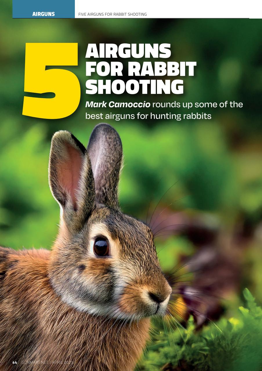 Gunmart Preview Pages