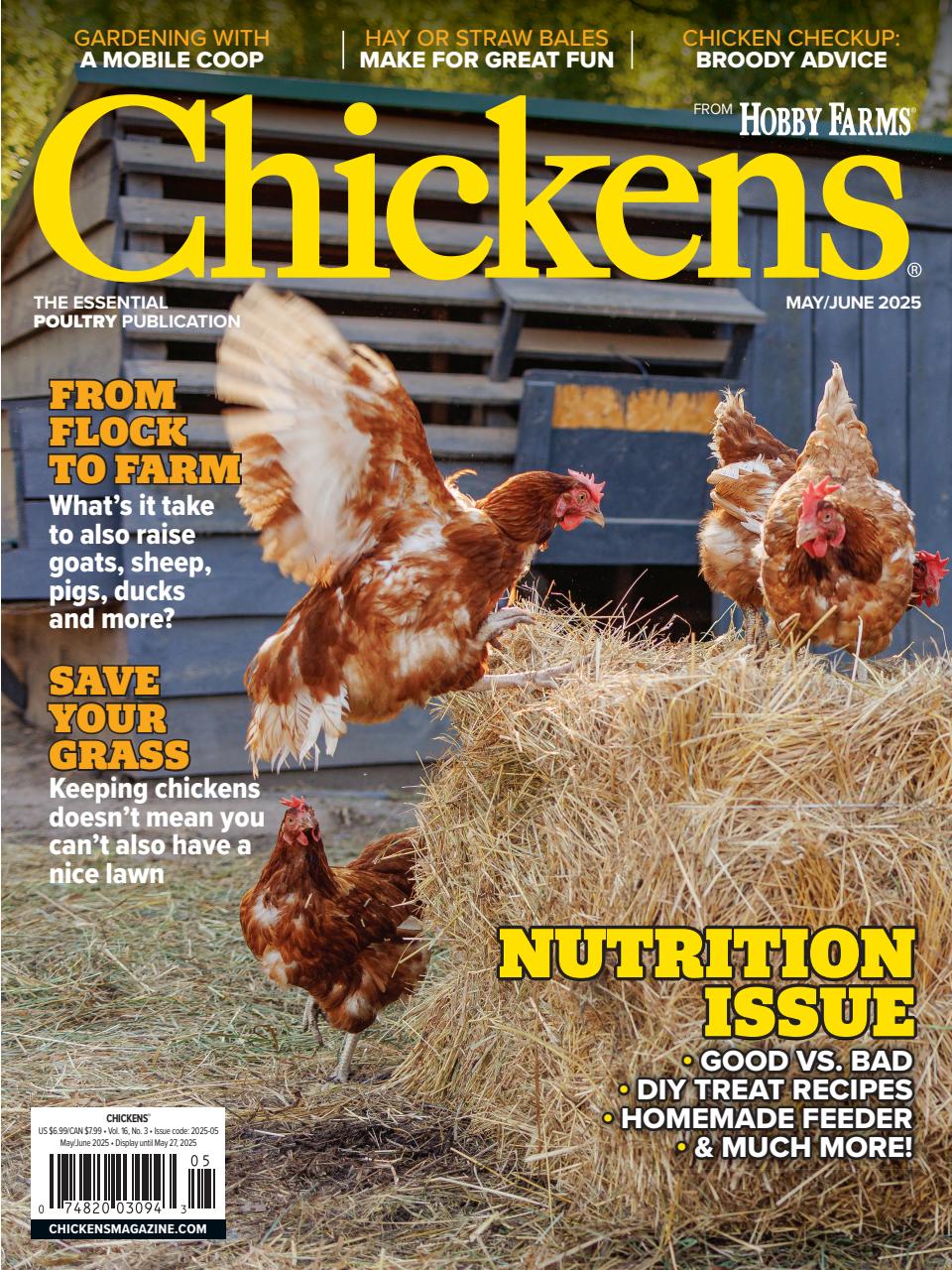 Chickens Magazine Preview Pages