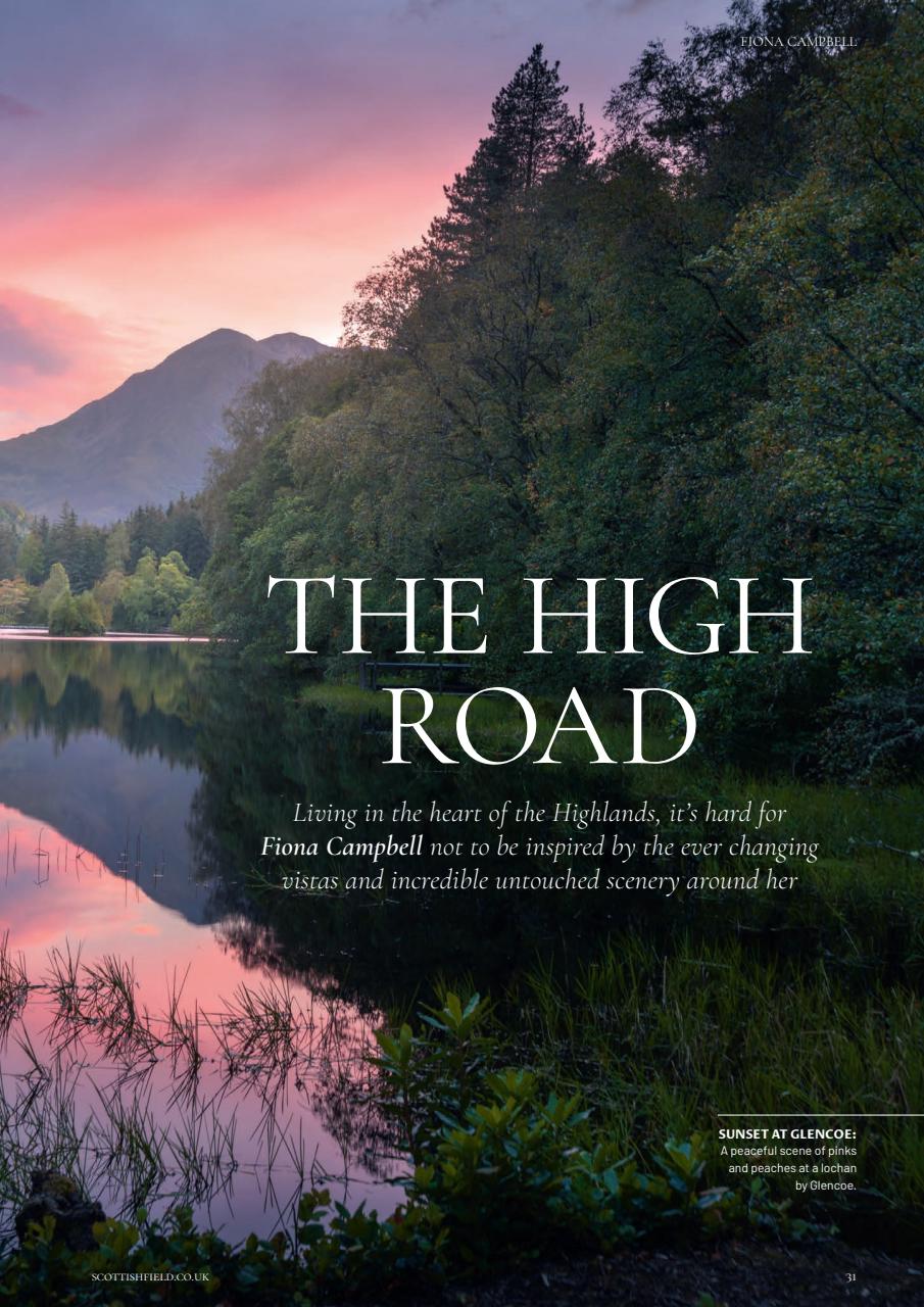 Scottish Field Preview Pages