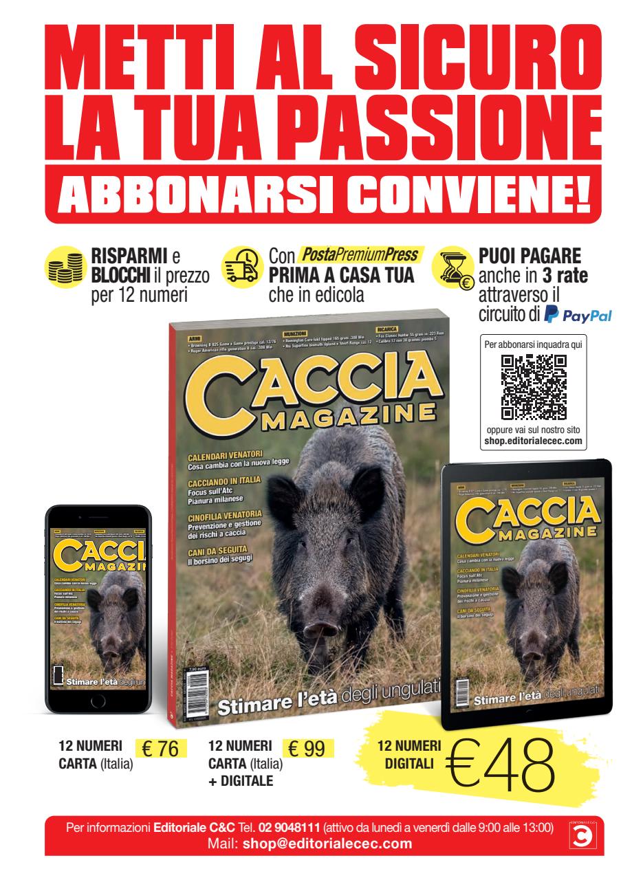 Caccia Magazine Preview Pages