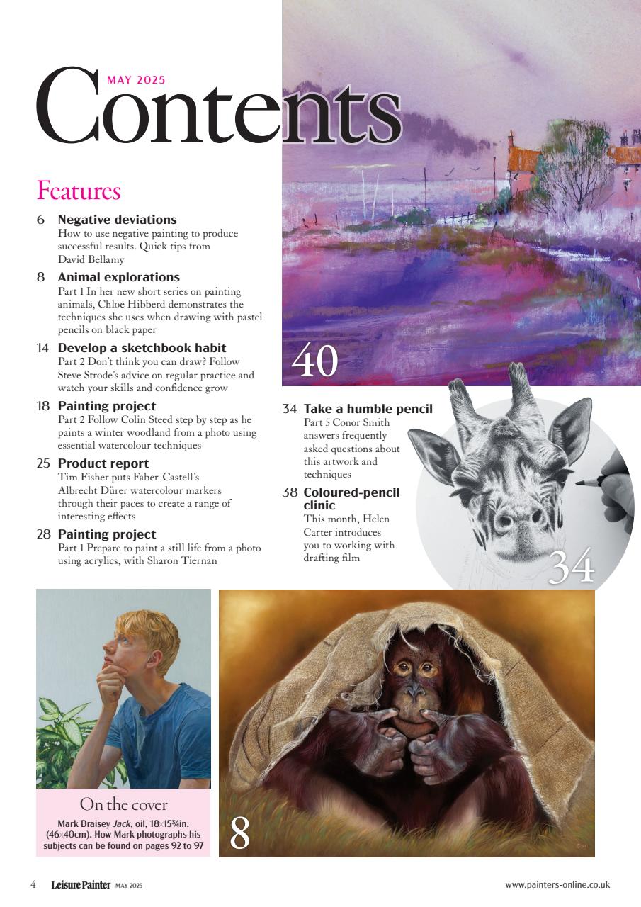 Leisure Painter & The Artist Preview Pages