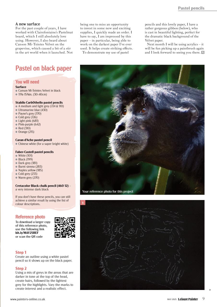 Leisure Painter & The Artist Preview Pages