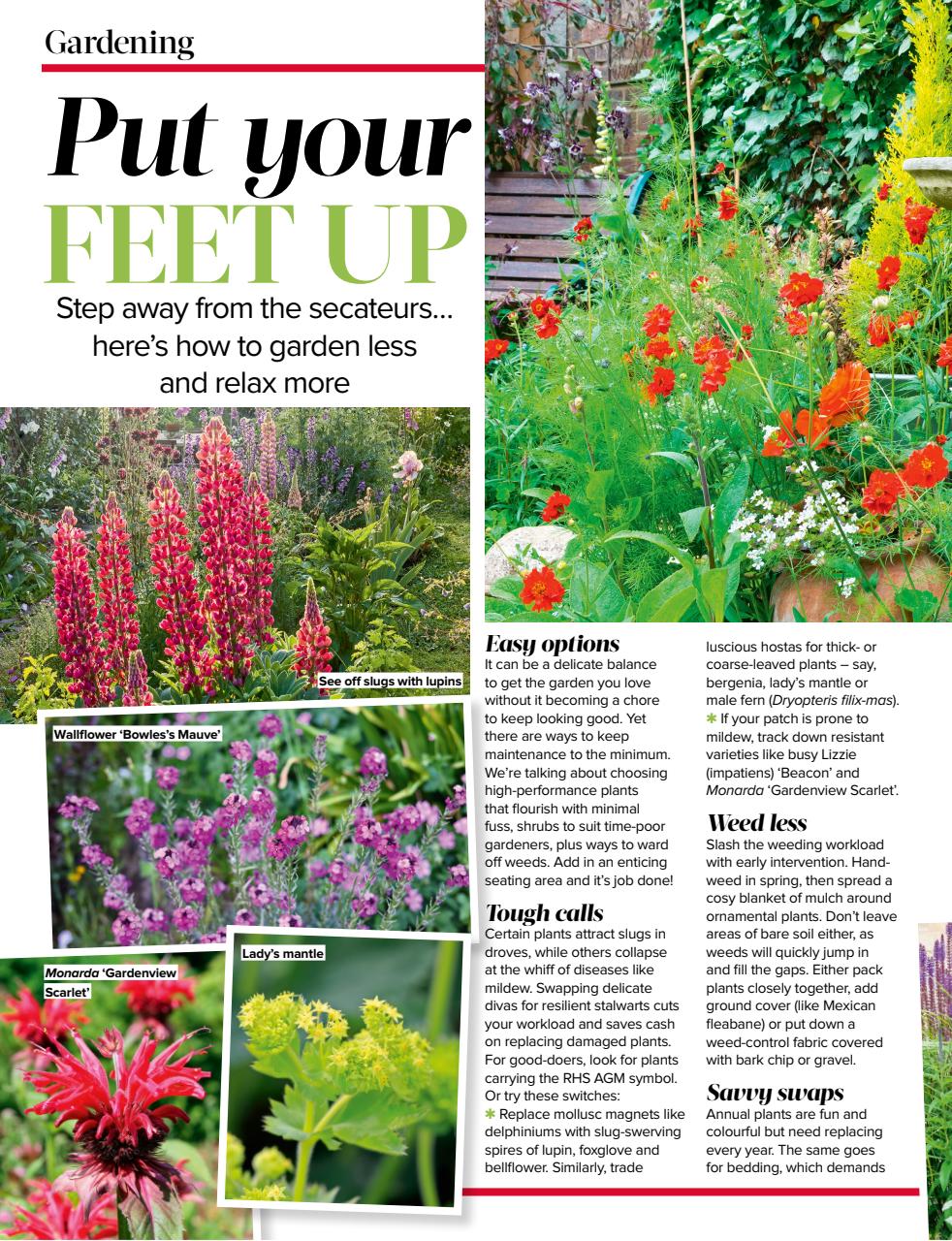 Woman's Weekly Preview Pages