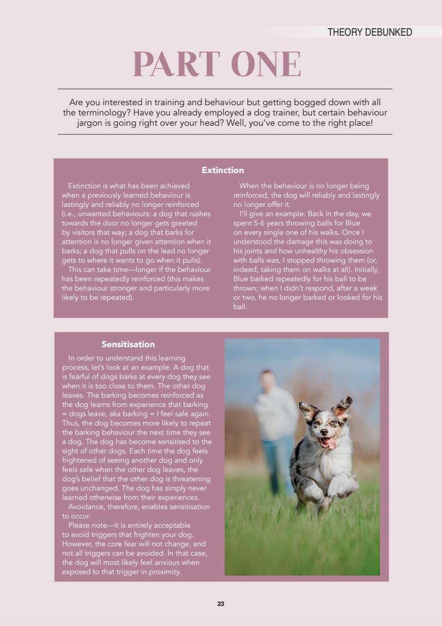 Edition Dog Preview Pages