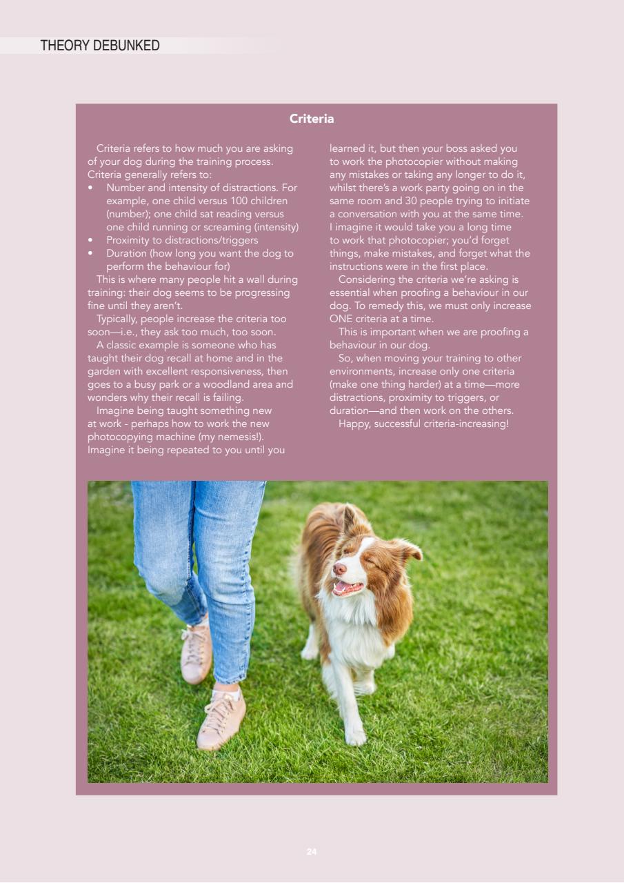 Edition Dog Preview Pages