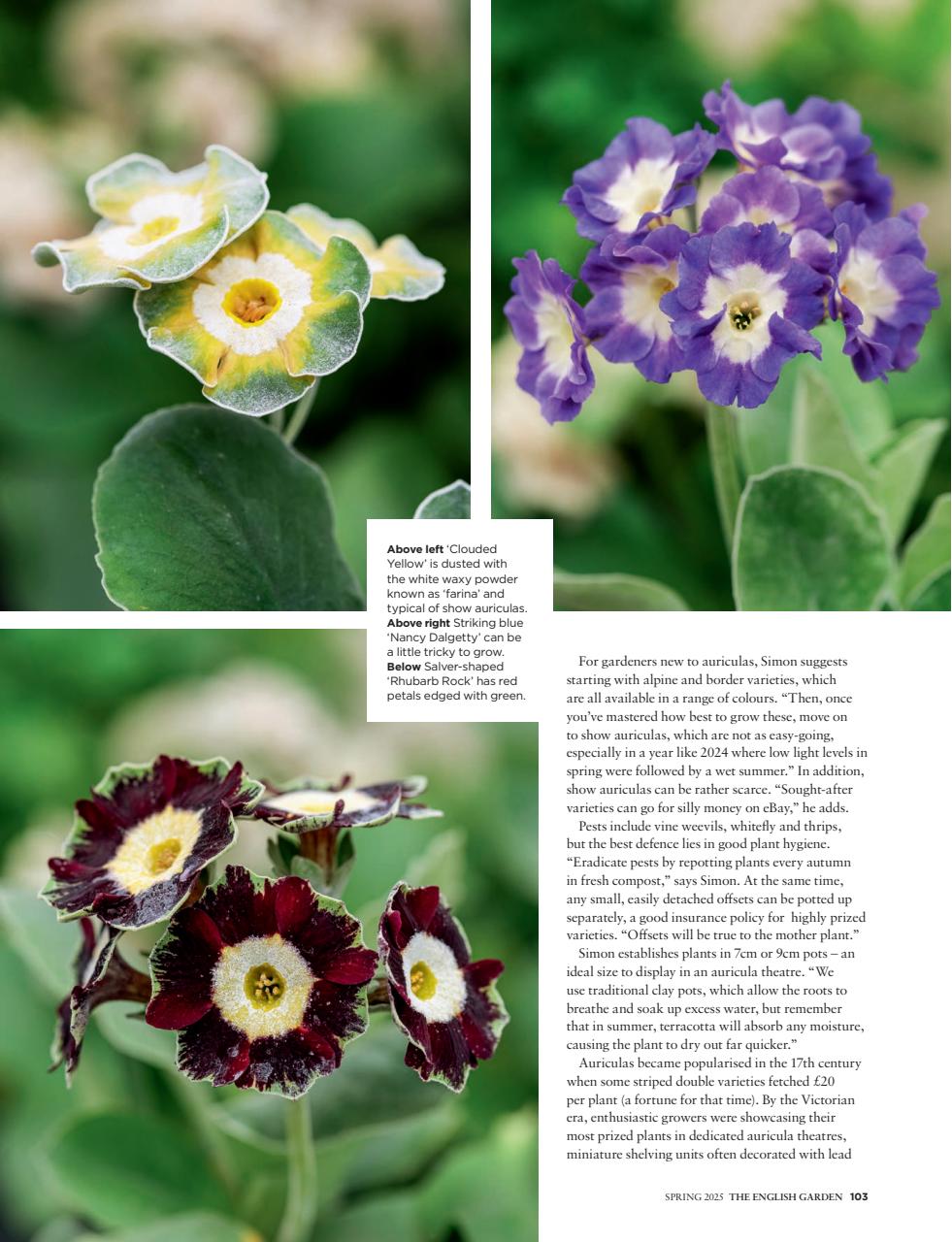 The English Garden Preview Pages