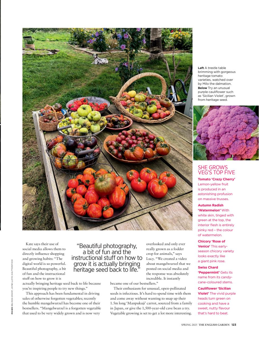 The English Garden Preview Pages