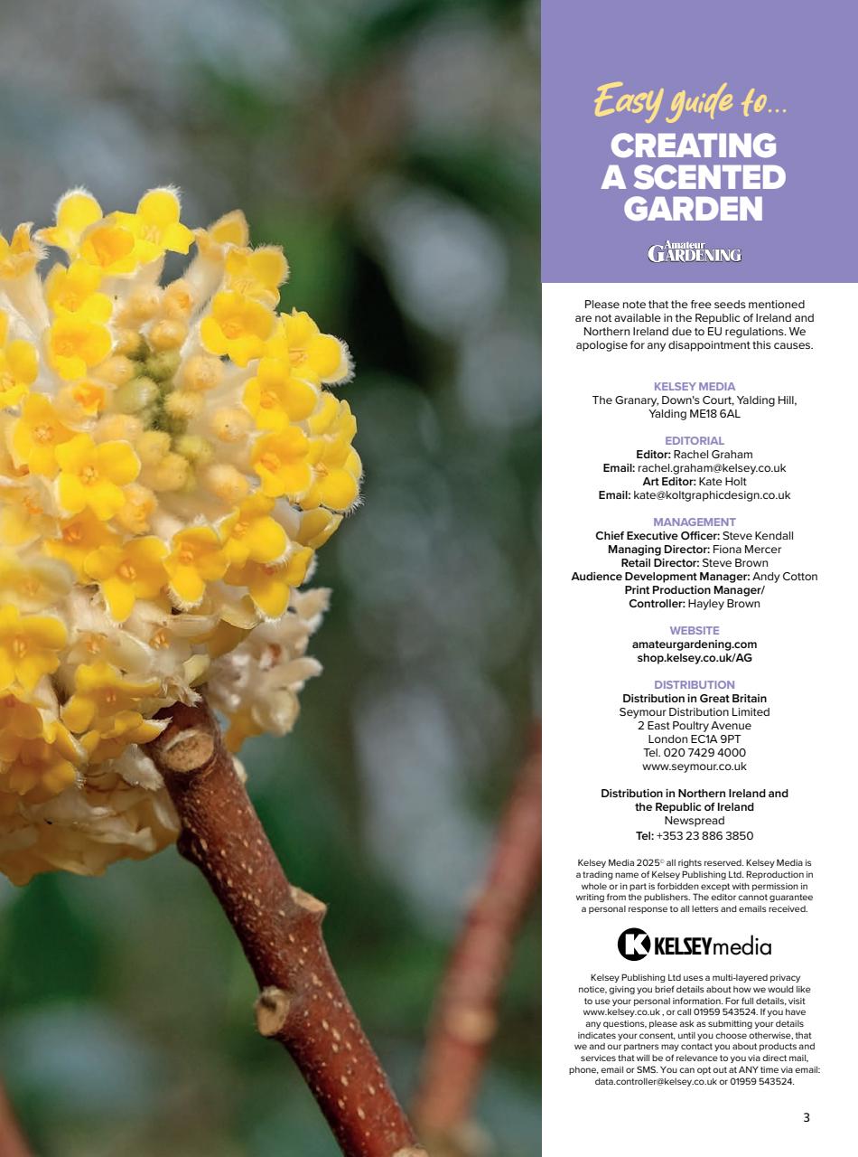 Amateur Gardening Preview Pages