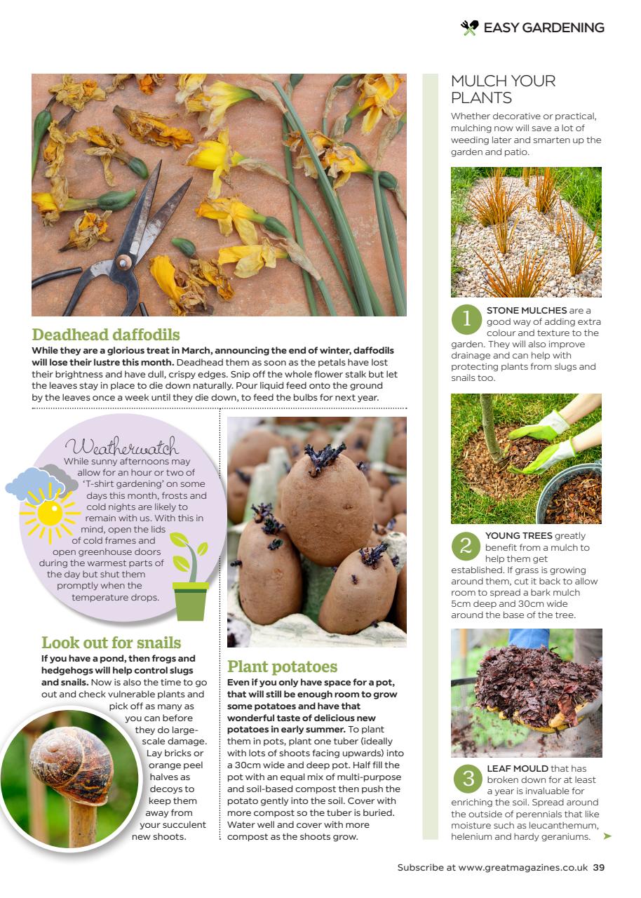 Garden Answers Preview Pages